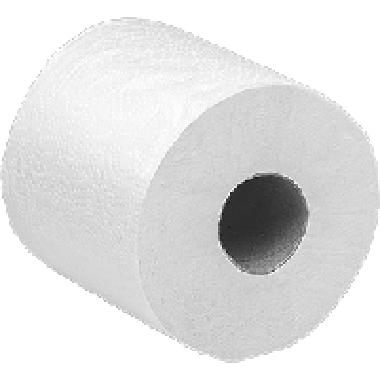 Toilet Paper